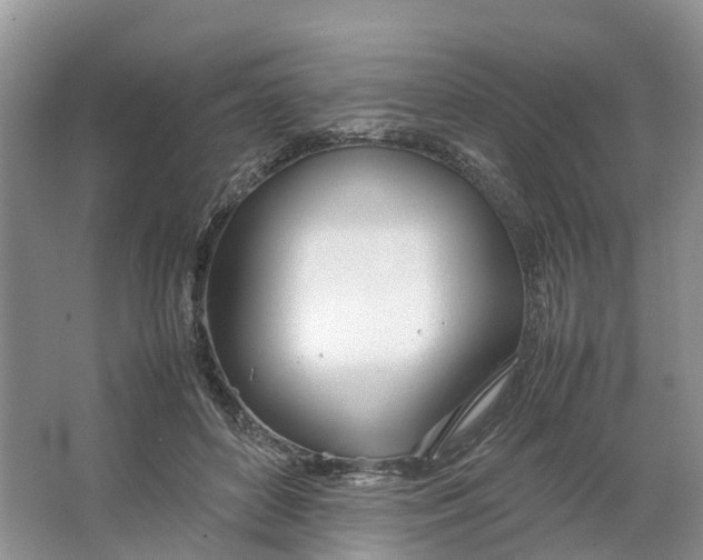 X0000064730504200602241724