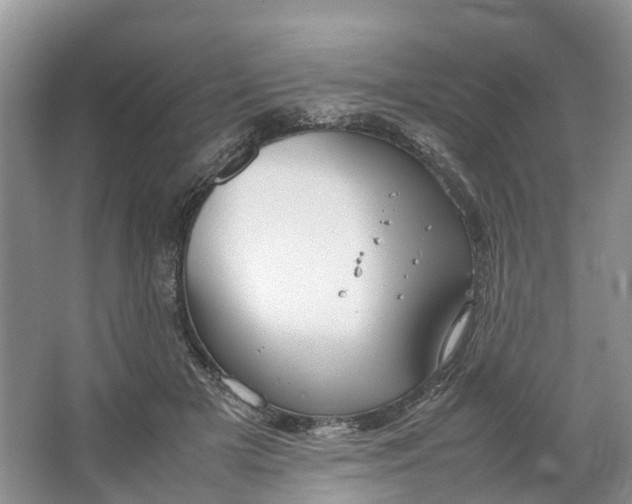 X0000064730505200602241724