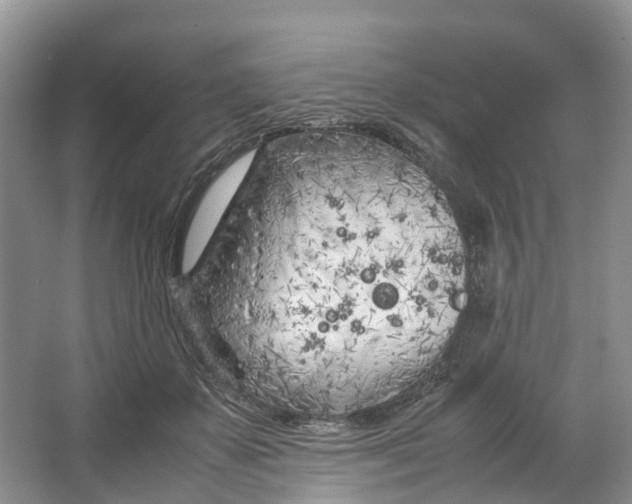 X0000064730507200602241724