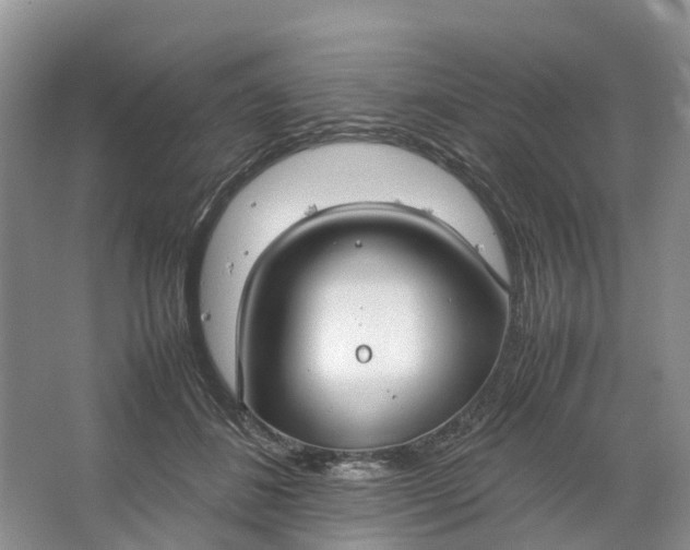 X0000064730508200602241724