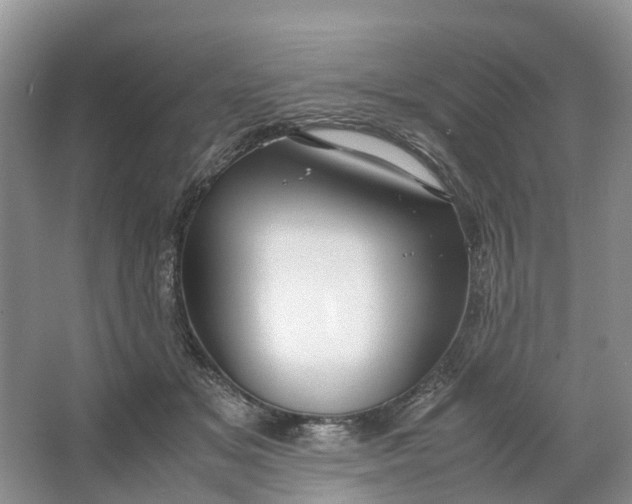 X0000064730509200602241723