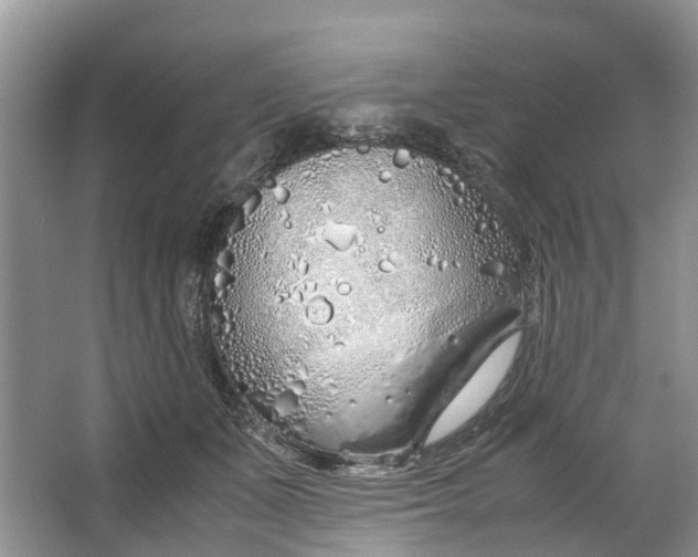 X0000064730511200602241723