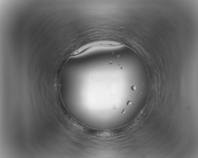 X0000064730513200602241723