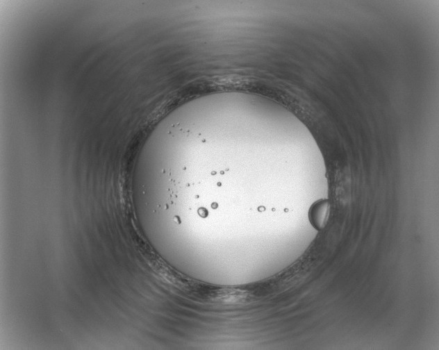 X0000064730514200602241723