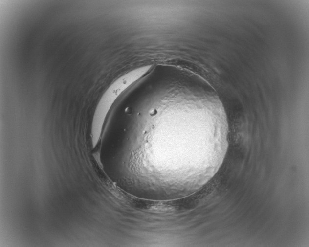 X0000064730515200602241723