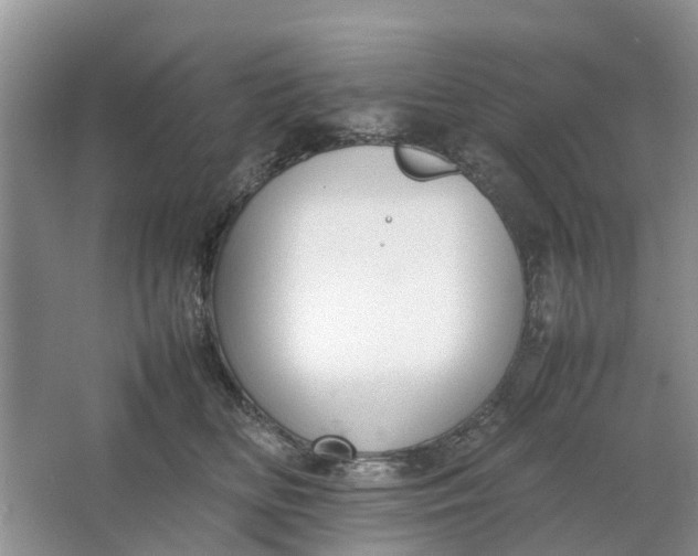 X0000064730518200602241723