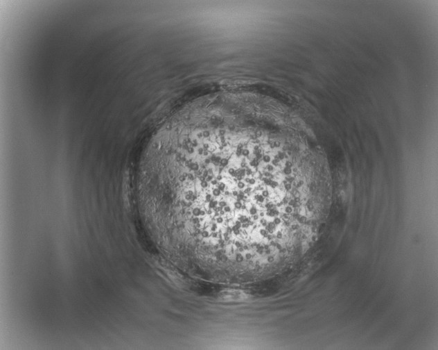 X0000064730519200602241723