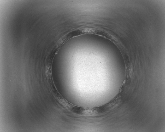 X0000064730521200602241723