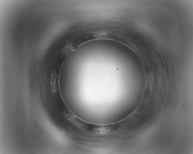 X0000064730525200602241723