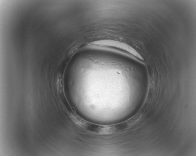 X0000064730527200602241723