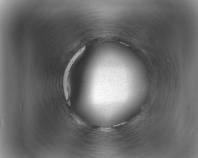 X0000064730528200602241723