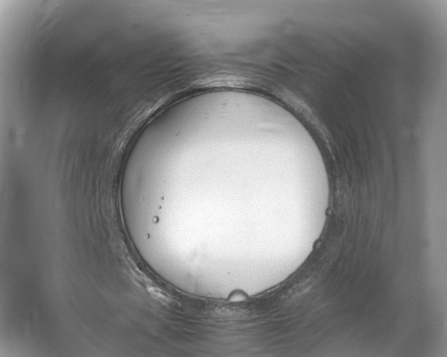 X0000064730529200602241722