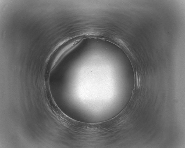 X0000064730531200602241722