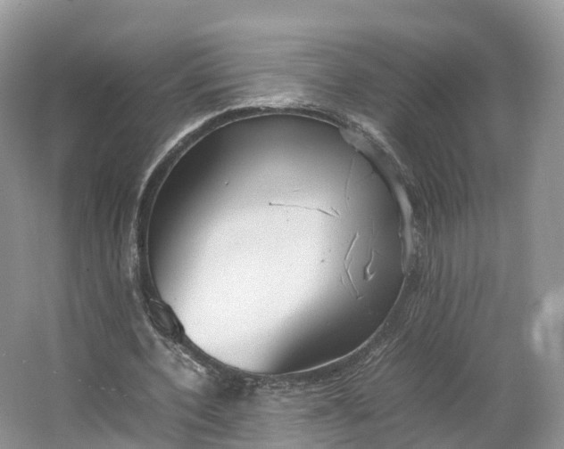 X0000064730532200602241722