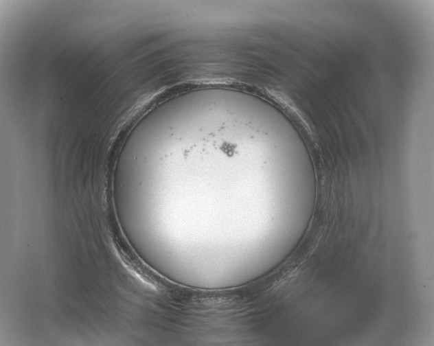 X0000064730533200602241722