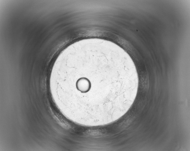 X0000064730534200602241722