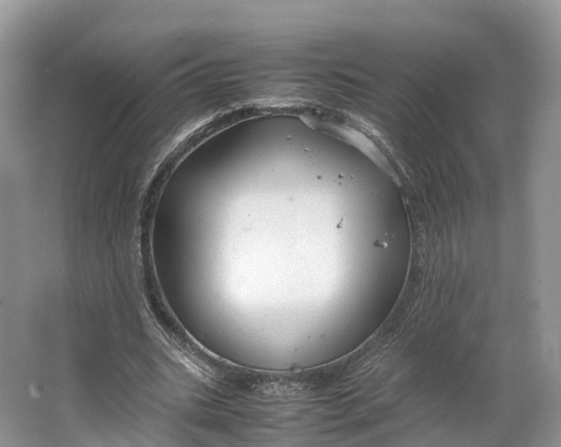 X0000064730535200602241722