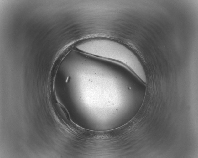 X0000064730536200602241722