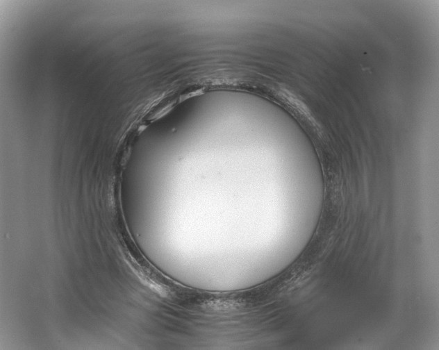 X0000064730537200602241722