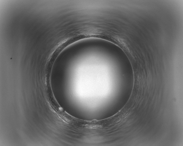 X0000064730539200602241722