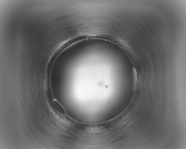 X0000064730540200602241722