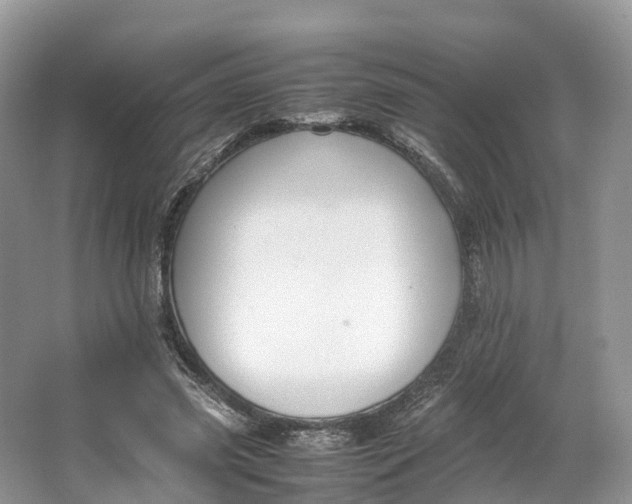 X0000064730541200602241722