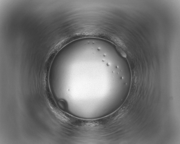 X0000064730542200602241722