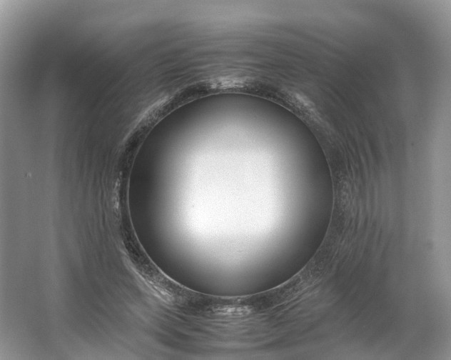 X0000064730543200602241722