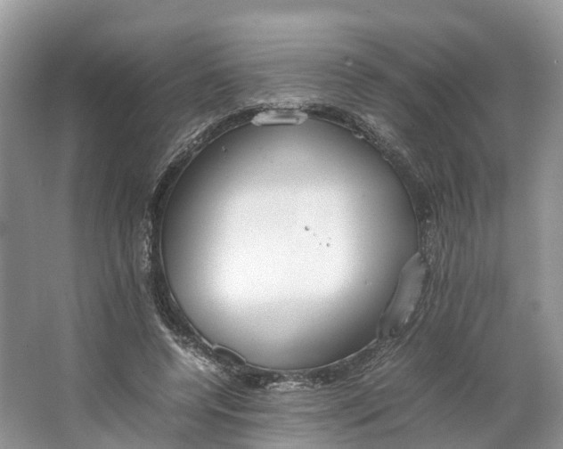 X0000064730544200602241722