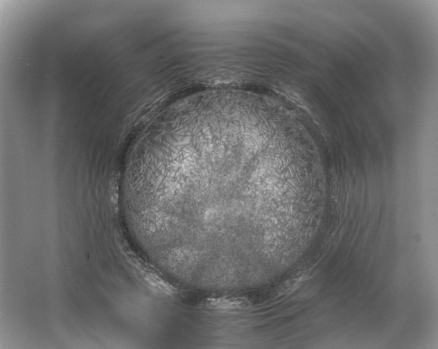 X0000064730545200602241722