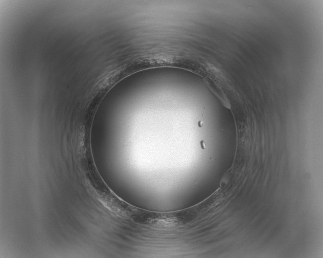 X0000064730548200602241722