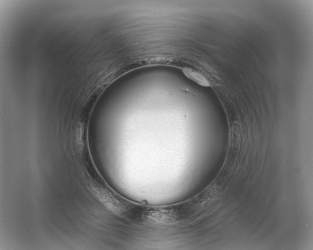 X0000064730550200602241722