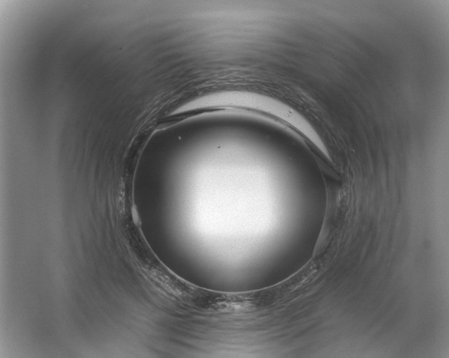 X0000064730552200602241722