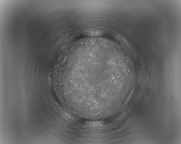 X0000064730553200602241722