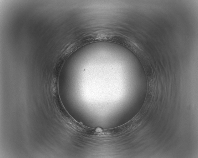 X0000064730554200602241722