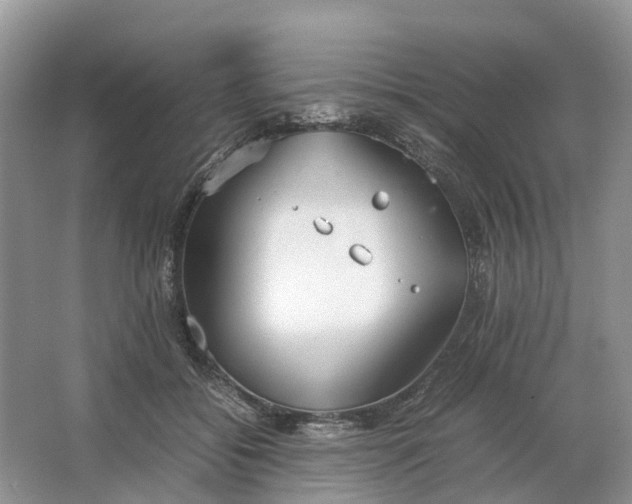 X0000064730556200602241722