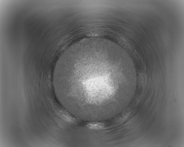 X0000064730557200602241722