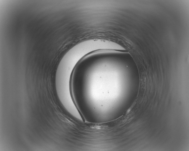 X0000064730558200602241723