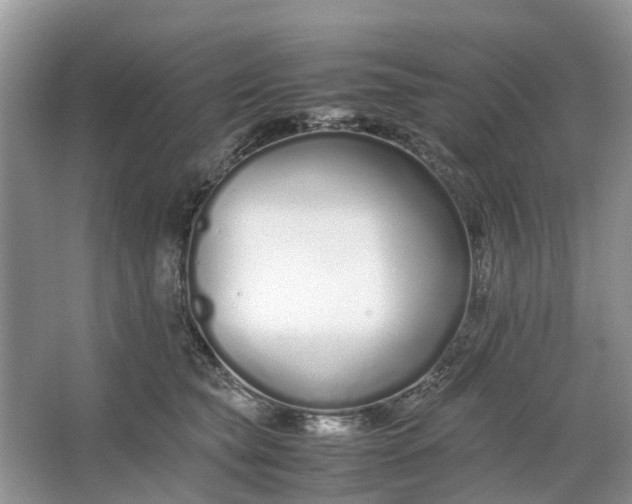 X0000064730565200602241723