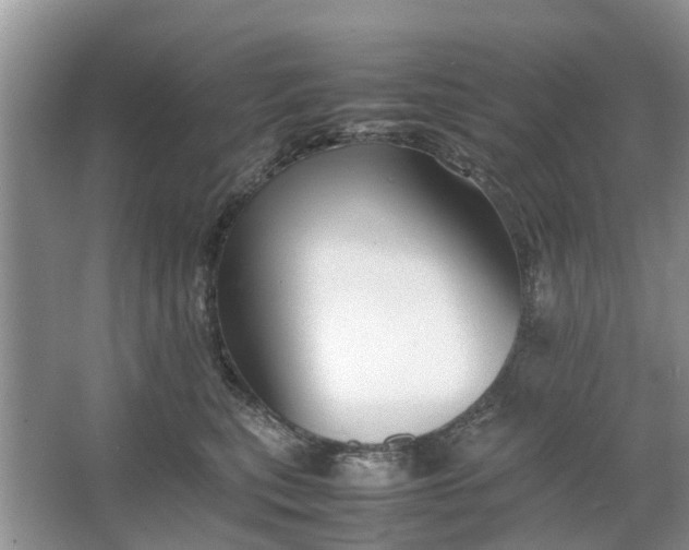 X0000064730567200602241723