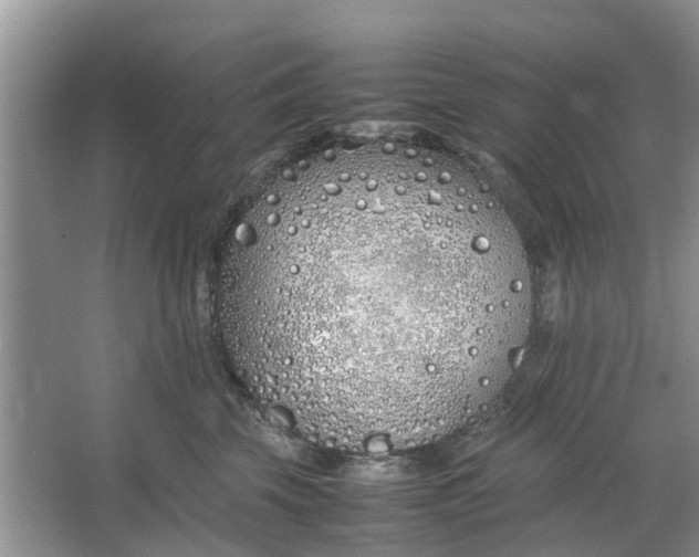 X0000064730569200602241723