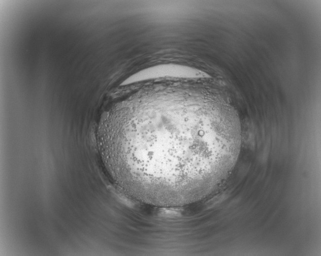 X0000064730573200602241723