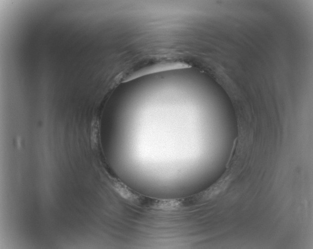 X0000064730576200602241723