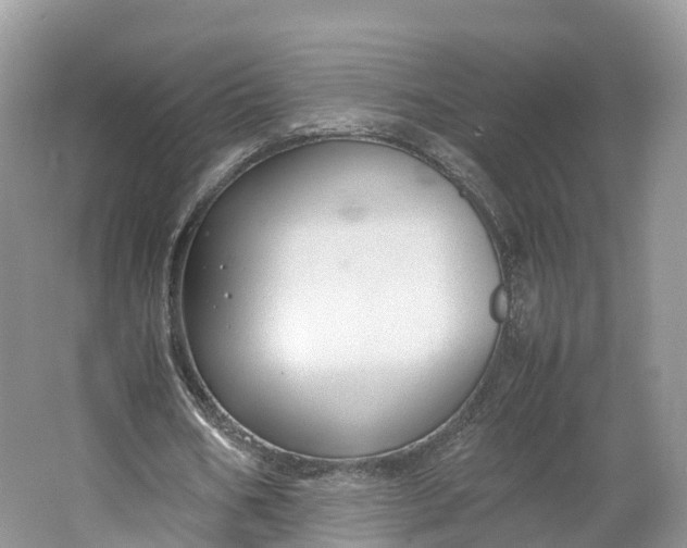 X0000064730578200602241722