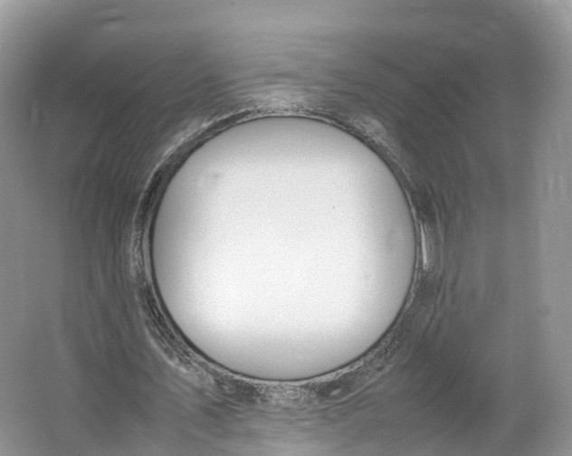 X0000064730579200602241722