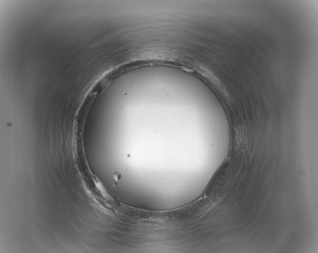 X0000064730580200602241722