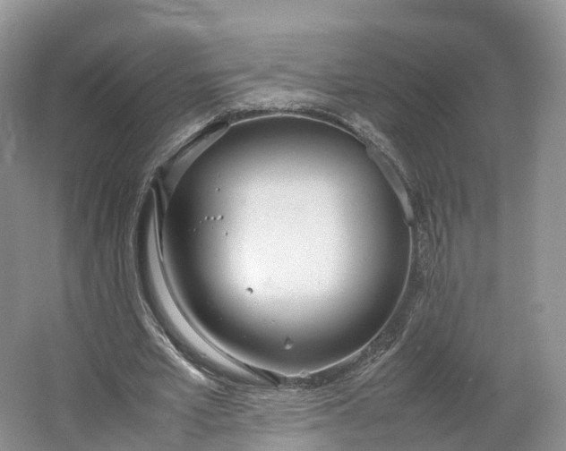 X0000064730581200602241722