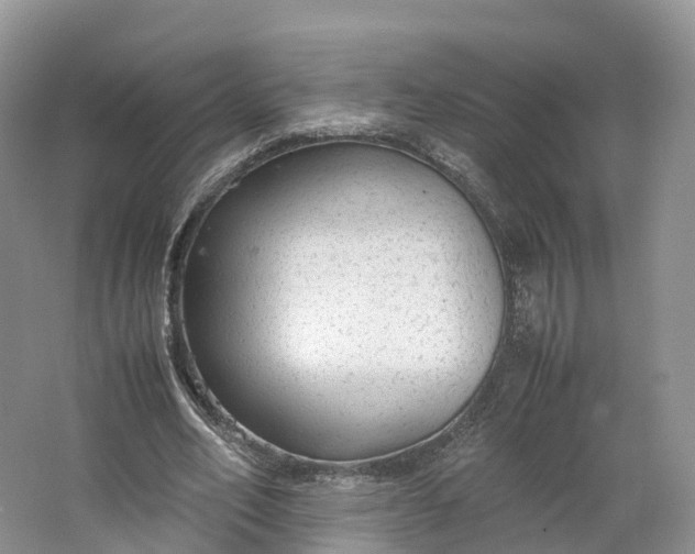 X0000064730582200602241722