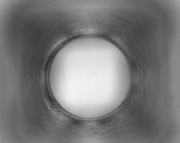 X0000064730583200602241722