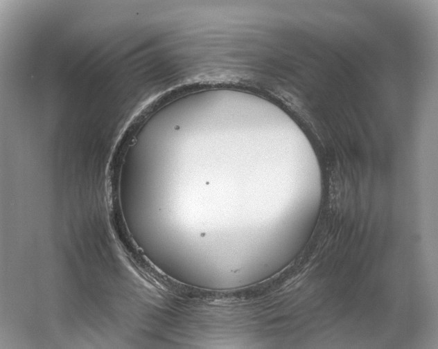 X0000064730584200602241722